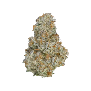 Gmo x Animal cookies