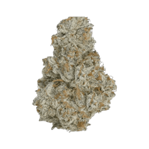 Gmo x Animal cookies